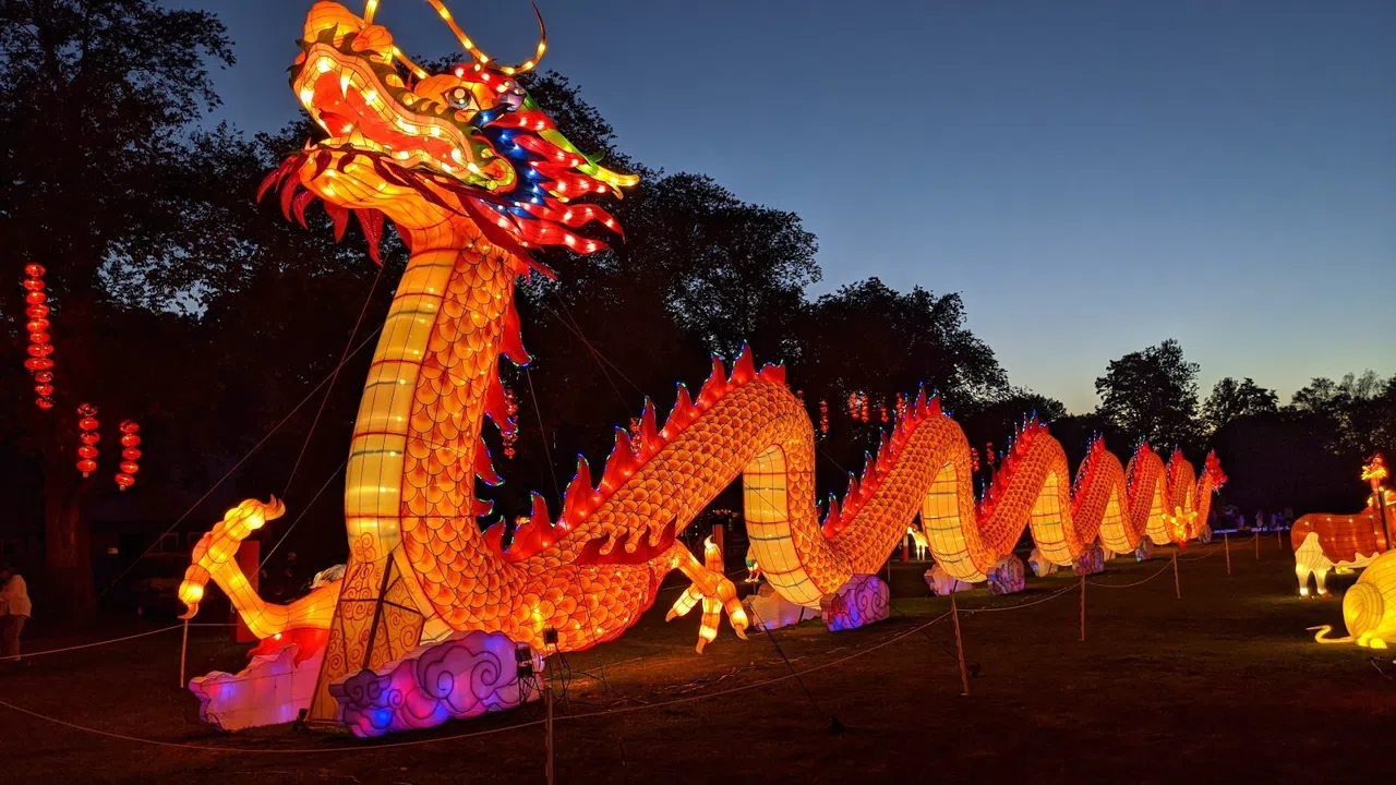 Lantern Nights at Franklin Park Zoo in Boston