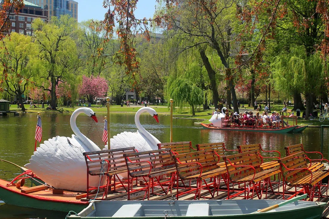 Swan Boats, Boston Public Garden, Boston