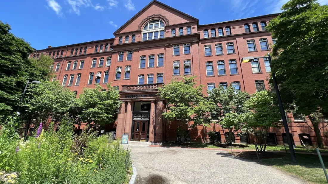 Harvard Museum of Natural History, Boston