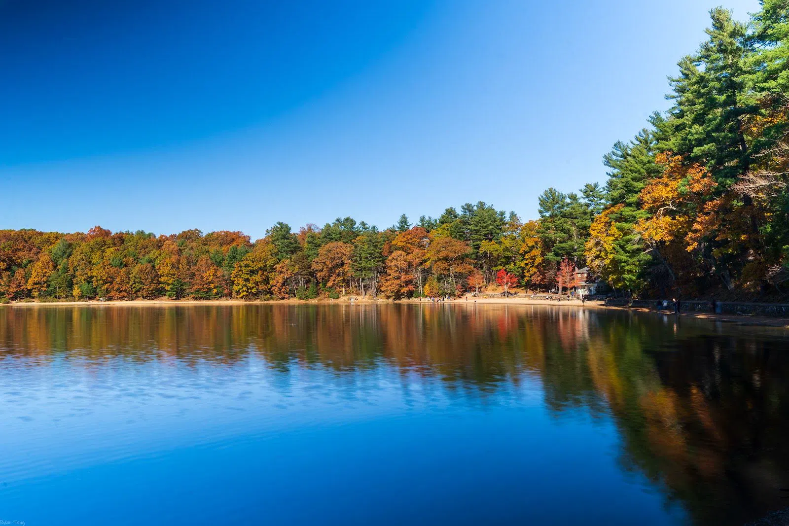 Walden Pond State Reservation, Boston